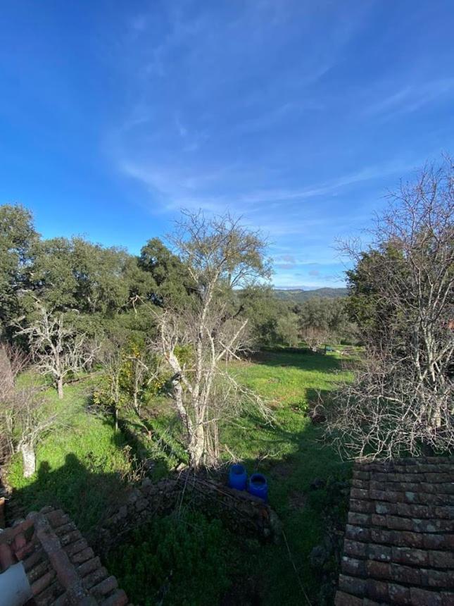 Espaciosa Y Elegante Casa Rural En Los Marines Екстериор снимка